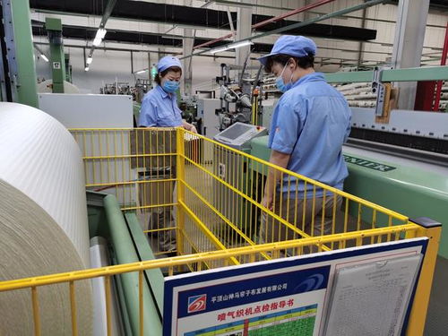 叶县31名首席服务官进驻工业企业，助推惠企政策与珠宝首饰回收修理服务落地见效